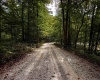 0 E Scotland Road, Bloomfield, Indiana 47424,MLS,202537621