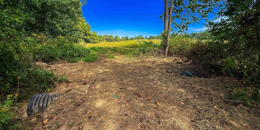 1 E Scotland Road, Bloomfield, Indiana 47424,MLS,202537622
