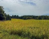 1 E Scotland Road, Bloomfield, Indiana 47424,MLS,202537622