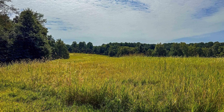 1 E Scotland Road, Bloomfield, Indiana 47424,MLS,202537622