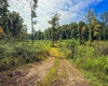 1 E Scotland Road, Bloomfield, Indiana 47424,MLS,202537622