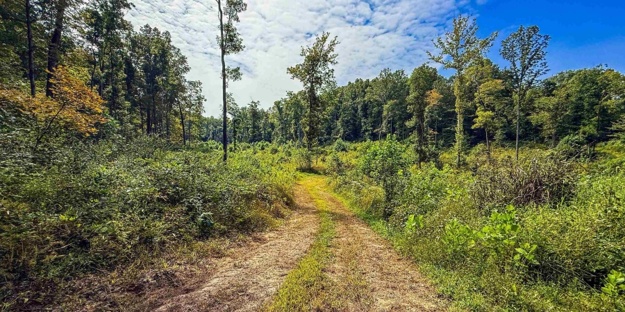 1 E Scotland Road, Bloomfield, Indiana 47424,MLS,202537622