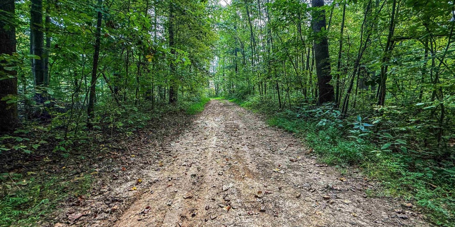 1 E Scotland Road, Bloomfield, Indiana 47424,MLS,202537622