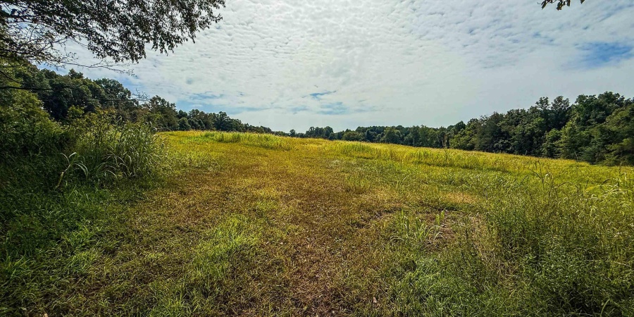 1 E Scotland Road, Bloomfield, Indiana 47424,MLS,202537622