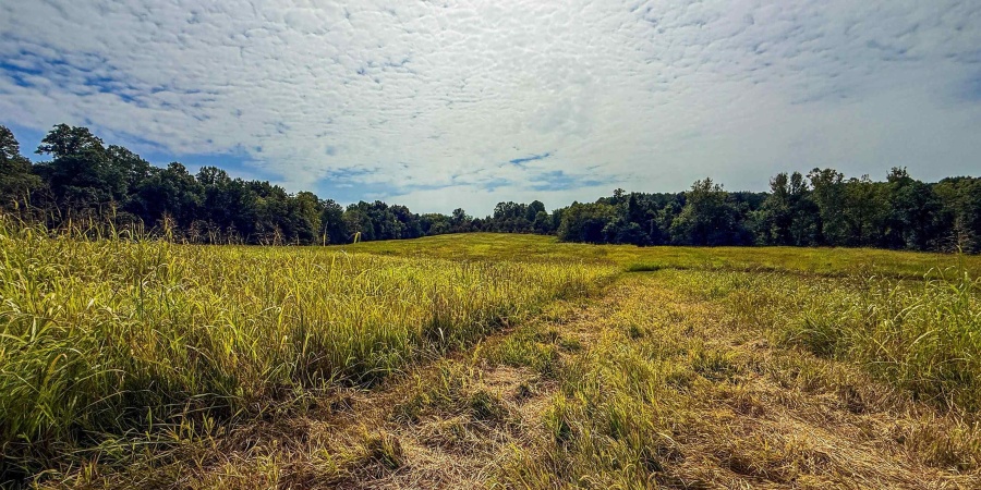 1 E Scotland Road, Bloomfield, Indiana 47424,MLS,202537622