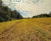 3 E Scotland Road, Bloomfield, Indiana 47424,MLS,202537624