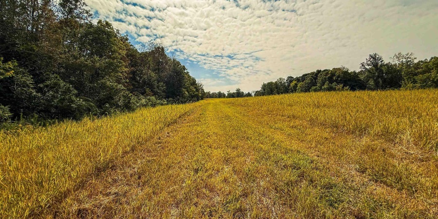 3 E Scotland Road, Bloomfield, Indiana 47424,MLS,202537624