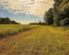 3 E Scotland Road, Bloomfield, Indiana 47424,MLS,202537624