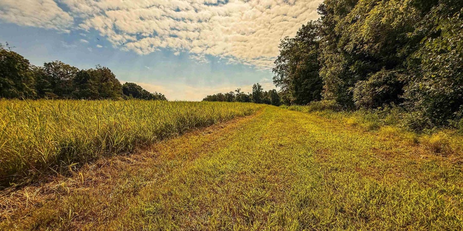 3 E Scotland Road, Bloomfield, Indiana 47424,MLS,202537624