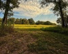 3 E Scotland Road, Bloomfield, Indiana 47424,MLS,202537624