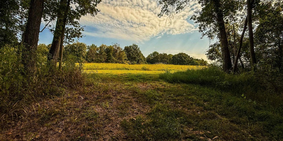 3 E Scotland Road, Bloomfield, Indiana 47424,MLS,202537624