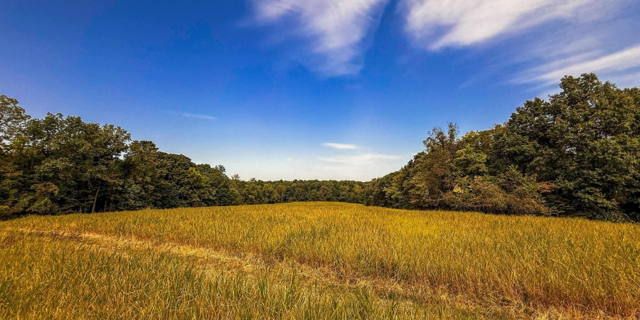 3 E Scotland Road, Bloomfield, Indiana 47424,MLS,202537624