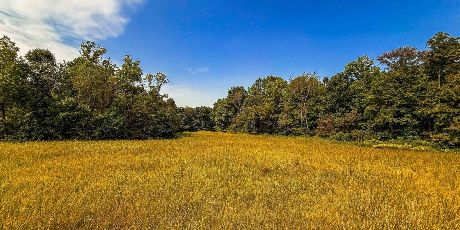 4 E Scotland Road, Bloomfield, Indiana 47424,MLS,202537625