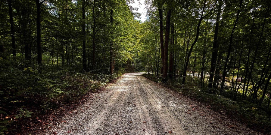 4 E Scotland Road, Bloomfield, Indiana 47424,MLS,202537625