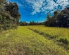 4 E Scotland Road, Bloomfield, Indiana 47424,MLS,202537625
