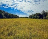 4 E Scotland Road, Bloomfield, Indiana 47424,MLS,202537625