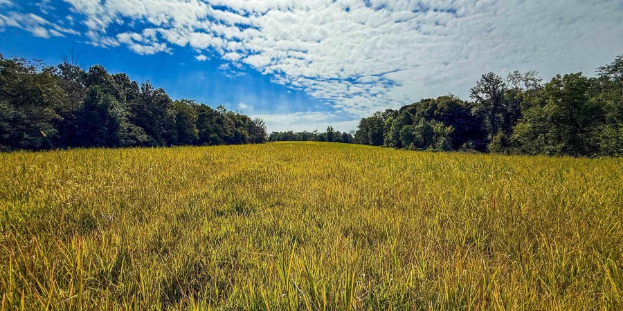 4 E Scotland Road, Bloomfield, Indiana 47424,MLS,202537625