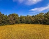 4 E Scotland Road, Bloomfield, Indiana 47424,MLS,202537625