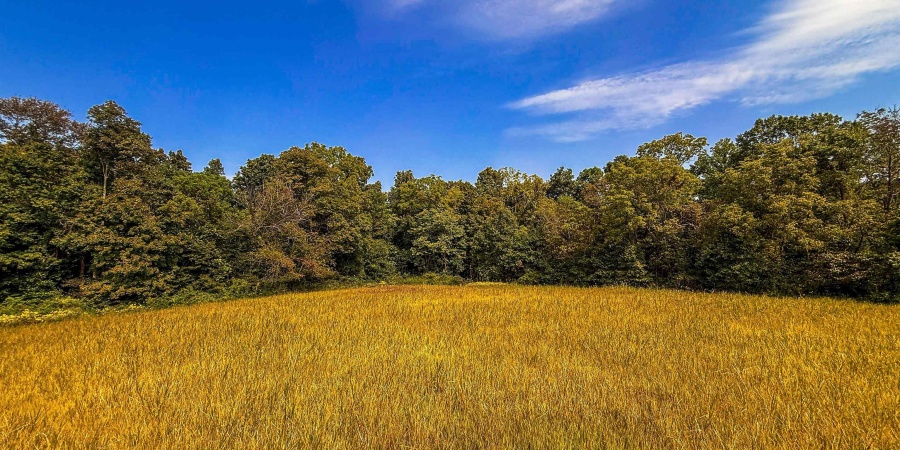 4 E Scotland Road, Bloomfield, Indiana 47424,MLS,202537625