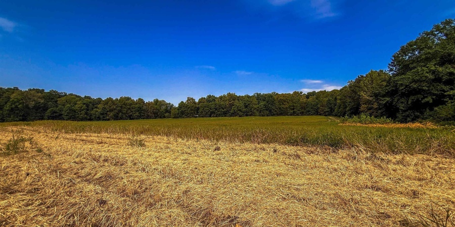 5 E Scotland Road, Bloomfield, Indiana 47424,MLS,202537626