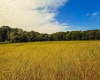 5 E Scotland Road, Bloomfield, Indiana 47424,MLS,202537626