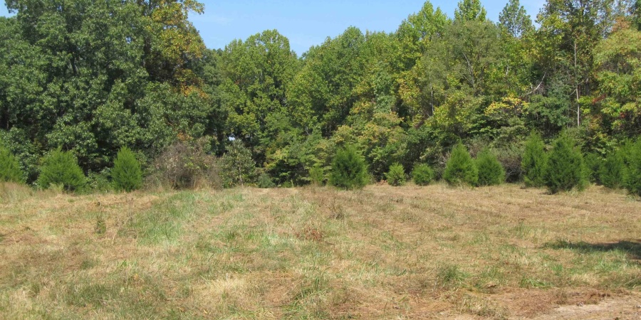 9720 S Chapel Hill Rd, Heltonville, Indiana 47436,MLS,202537587