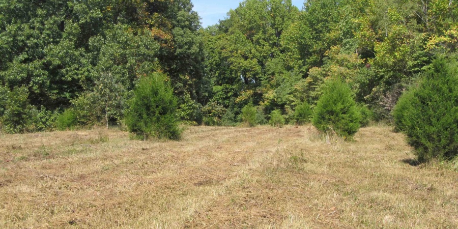9720 S Chapel Hill Rd, Heltonville, Indiana 47436,MLS,202537587