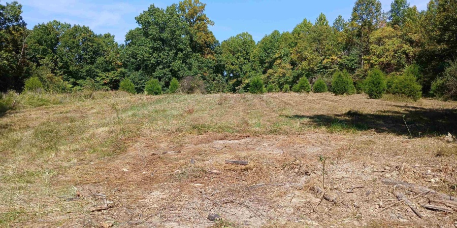 9720 S Chapel Hill Rd, Heltonville, Indiana 47436,MLS,202537587