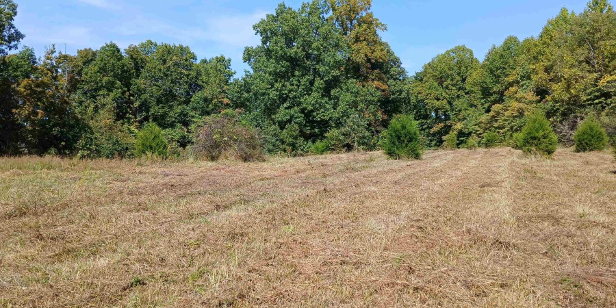 9720 S Chapel Hill Rd, Heltonville, Indiana 47436,MLS,202537587