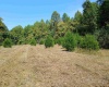 9720 S Chapel Hill Rd, Heltonville, Indiana 47436,MLS,202537587