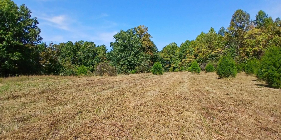 9720 S Chapel Hill Rd, Heltonville, Indiana 47436,MLS,202537587