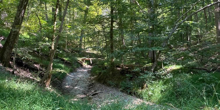 E Ramp Creek Road, Bloomington, Indiana 47401,MLS,202537848