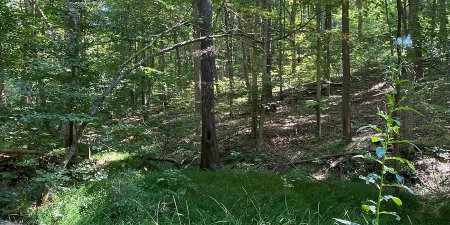 E Ramp Creek Road, Bloomington, Indiana 47401,MLS,202537848