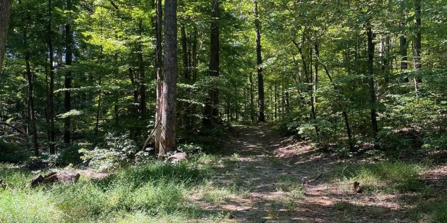 E Ramp Creek Road, Bloomington, Indiana 47401,MLS,202537848