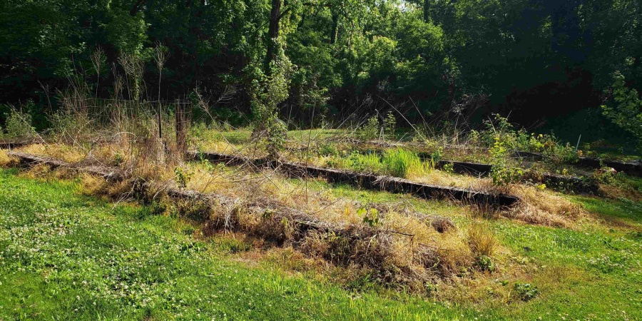 13265 S Prospect Street, Jasonville, Indiana 47438,MLS,202407205