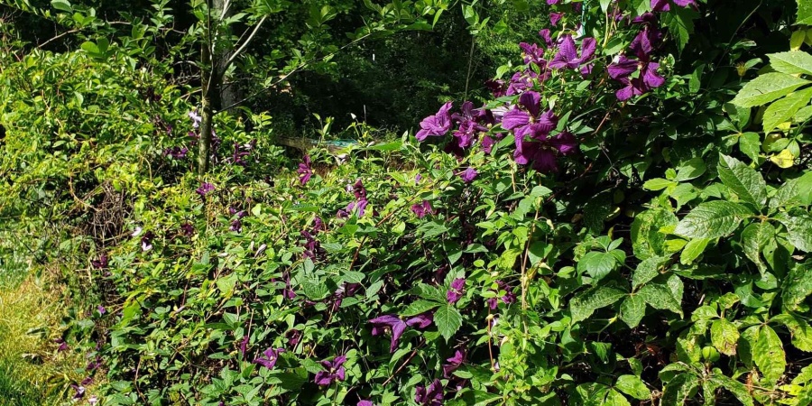 13265 S Prospect Street, Jasonville, Indiana 47438,MLS,202407205