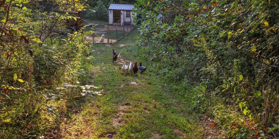 6063 Litle Flock Road, Spencer, Indiana 47460,MLS,202538130