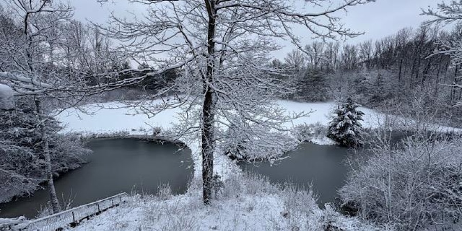 6063 Litle Flock Road, Spencer, Indiana 47460,MLS,202538130