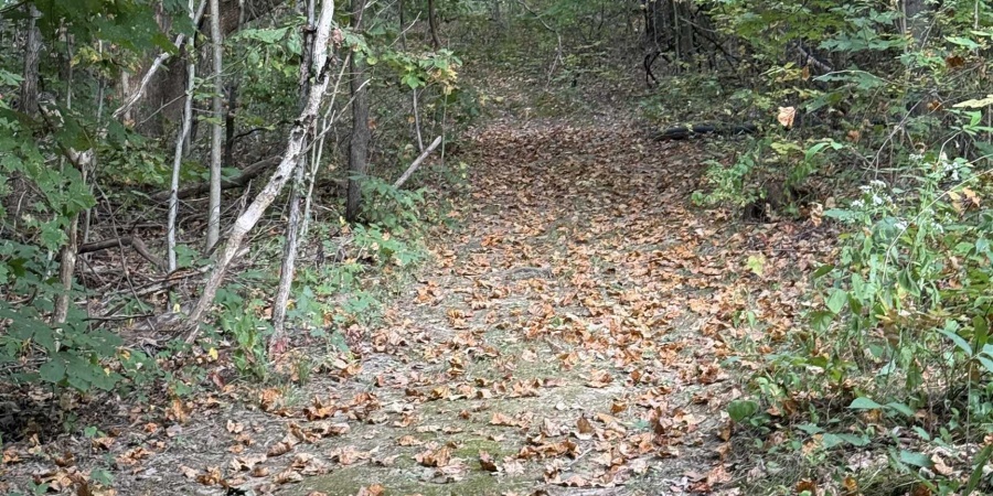 8134 S Rockport Road, Bloomington, Indiana 47403,MLS,202538236