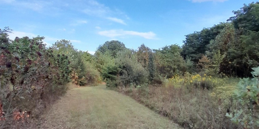 8134 S Rockport Road, Bloomington, Indiana 47403,MLS,202538236