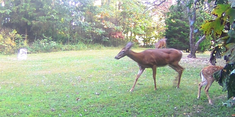 8134 S Rockport Road, Bloomington, Indiana 47403,MLS,202538236