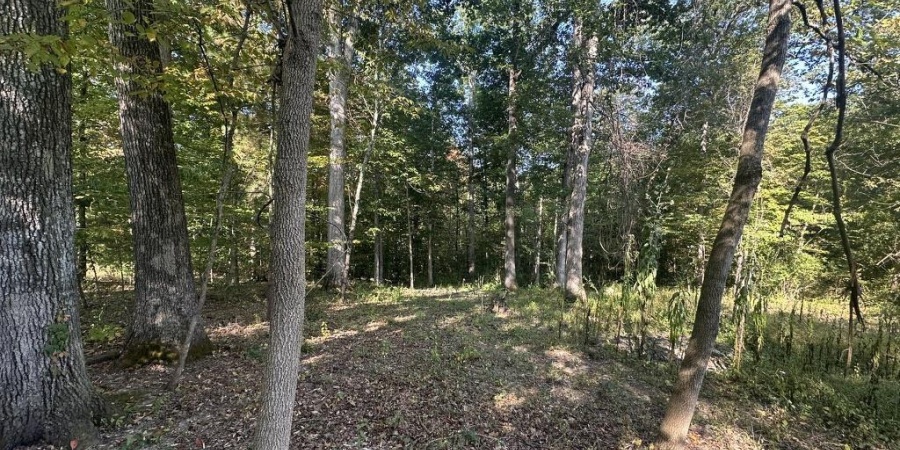 00 State Road 135 N. Road, Nashville, Indiana 47448,MLS,202538248