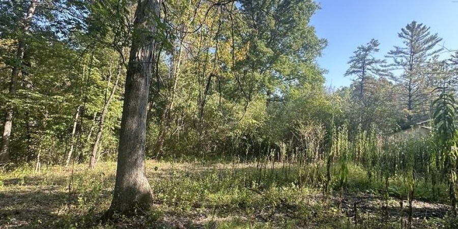 00 State Road 135 N. Road, Nashville, Indiana 47448,MLS,202538248