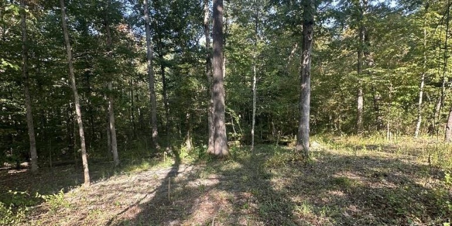 00 State Road 135 N. Road, Nashville, Indiana 47448,MLS,202538248