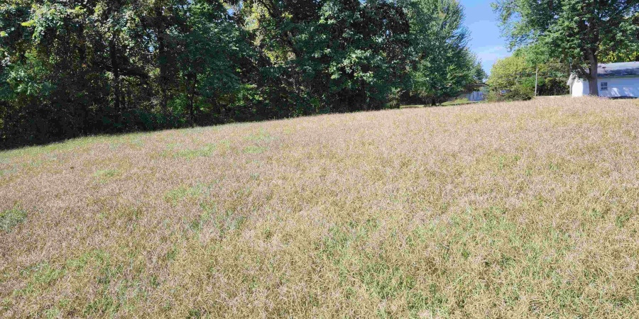 551 N Washington Street, Bloomfield, Indiana 47424,MLS,202538264