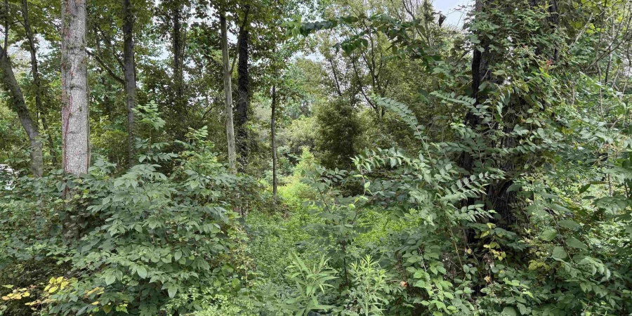 116 8th St, Oolitic, Indiana 47451,MLS,202538335