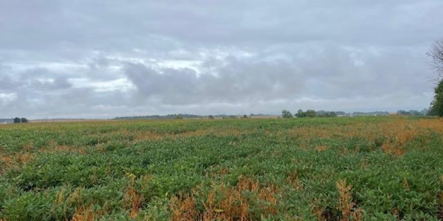 10339 W 400 N Road, Linton, Indiana 47441,MLS,202538353