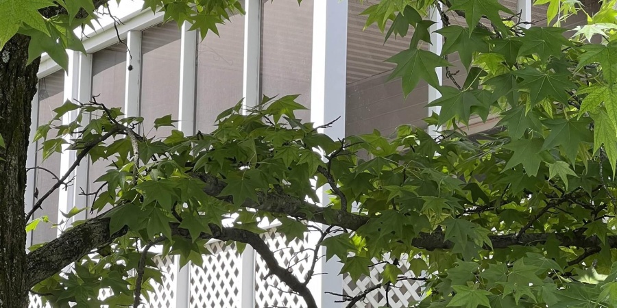 1368 S College Mall Road, Bloomington, Indiana 47401,MLS,202538555