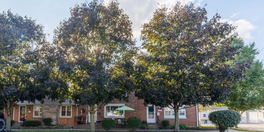 205 S Main Street, Spencer, Indiana 47460,MLS,202539145