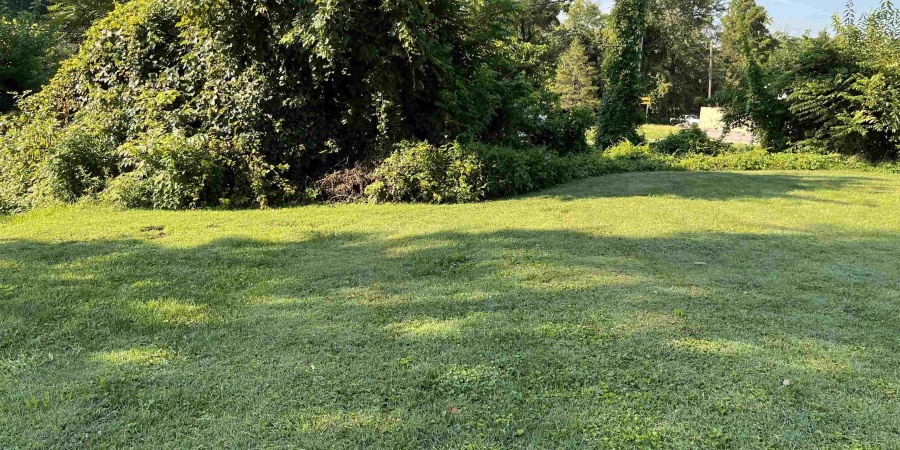 827 W 1st Street, Bloomington, Indiana 47403,MLS,202539418